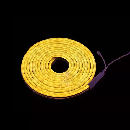 12V/24V LED NEON STRIP LIGHT (4) 12V/24V LED NEON STRIP LIGHT (4)