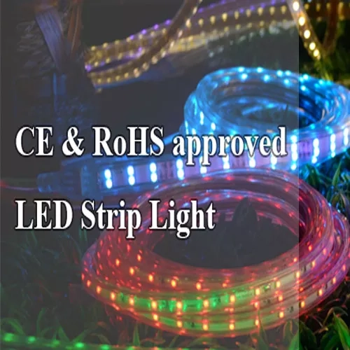 CE approved LED strip light from Real Green Co.,Ltd