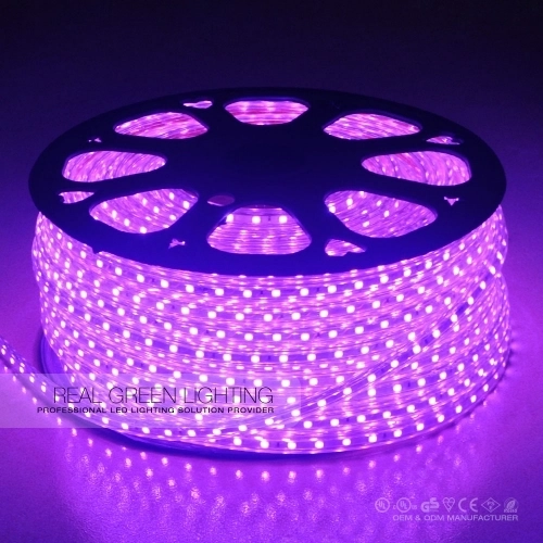 Elevator Lighting Focus: The Application of LED Strip Lights