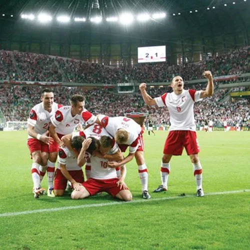 How many types are the LED flood light have ? How many types are the LED flood light have ?