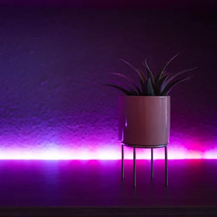 LED Strip Light: Lighting Up Your Outdoor Space