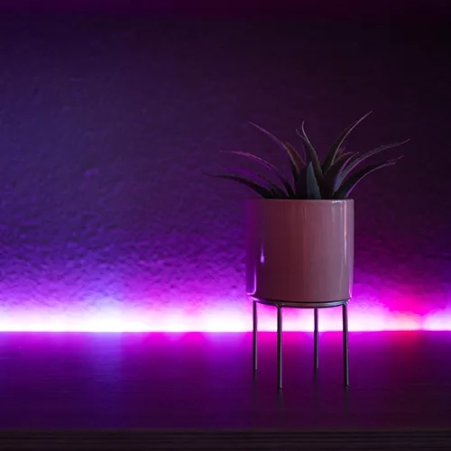 LED Strip Light: Lighting Up Your Outdoor Space