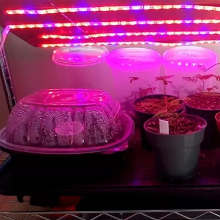 Various Uses of LED Strip Light